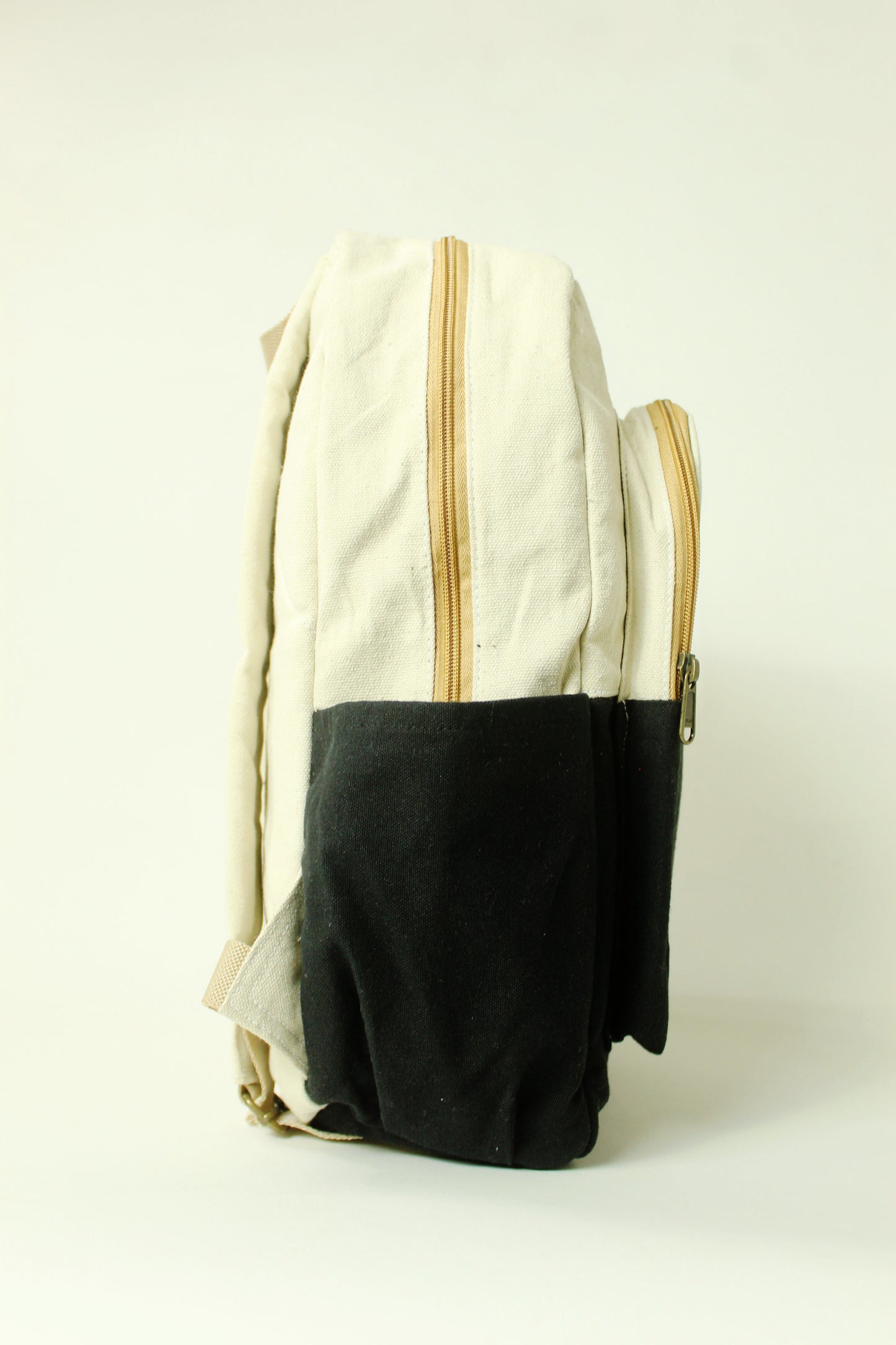 BNW Canvas Backpack